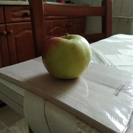 Center * Веспрем